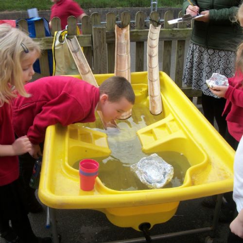 Science Week Photos